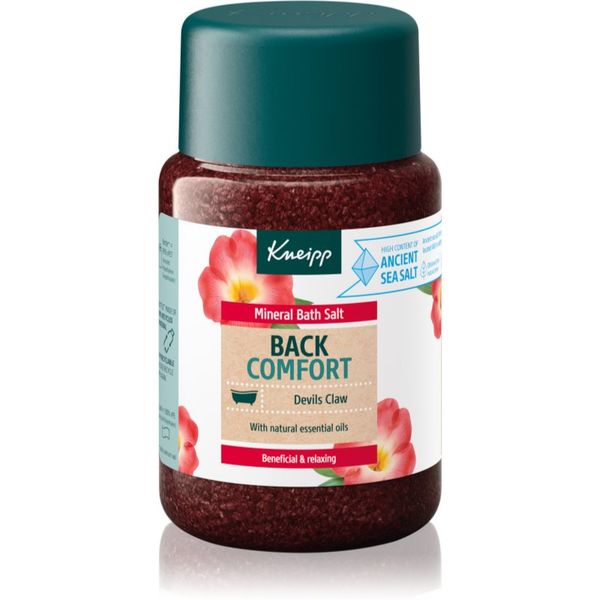 Kneipp Kneipp Back Comfort sol za kupku 500 g