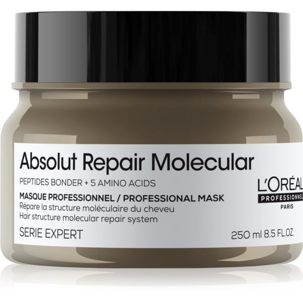 L’Oréal Professionnel L’Oréal Professionnel Serie Expert Absolut Repair Molecular maska za dubinsko jačanje kose 250 ml