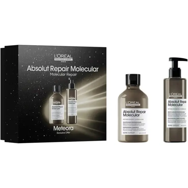 L’Oréal Professionnel L’Oréal Professionnel Serie Expert Absolut Repair Molecular poklon set za oštećenu kosu