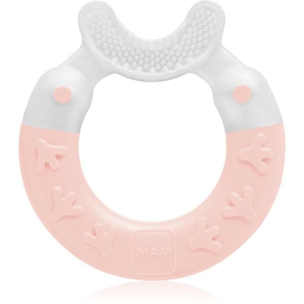 MAM MAM Bite & Brush grickalica za bebe 3m+ Pink 1 kom