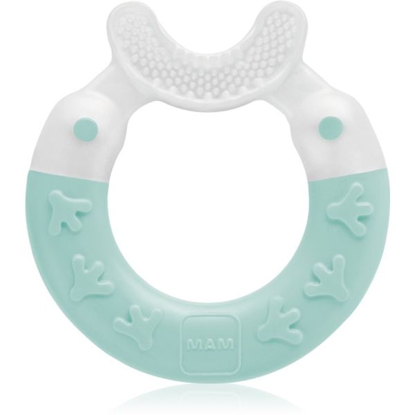 MAM MAM Bite & Brush grickalica za bebe 3m+ Turquoise 1 kom