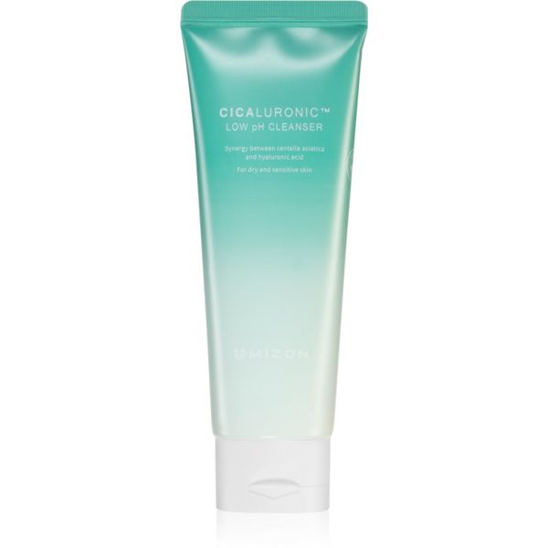 Mizon Mizon Cicaluronic™ hidratantna pjena za čišćenje za vrlo suho i osjetljivo lice 120 ml