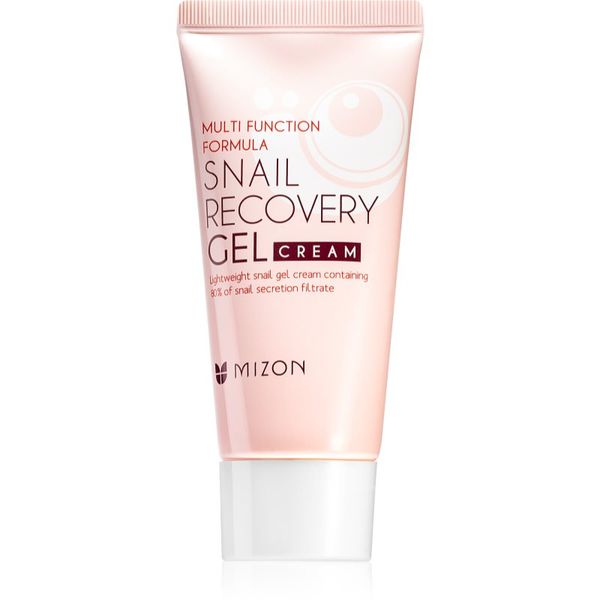 Mizon Mizon Multi Function Formula  Snail gel za lice s ekstraktom puža 45 ml