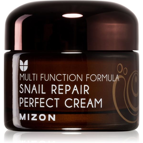 Mizon Mizon Multi Function Formula  Snail krema za lice s filtratom puževe sluzi 60% 50 ml