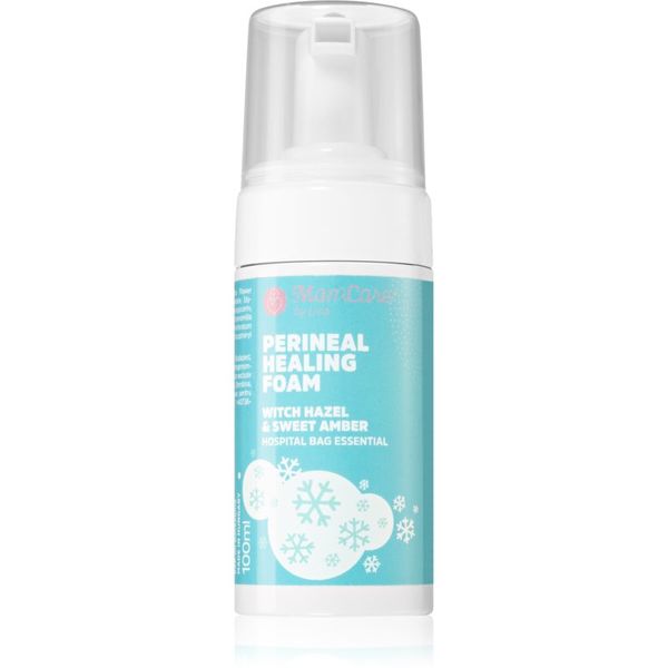 MomCare by Lina MomCare by Lina Perineal Foam umirujuća pjena za perinealno područje 100 ml