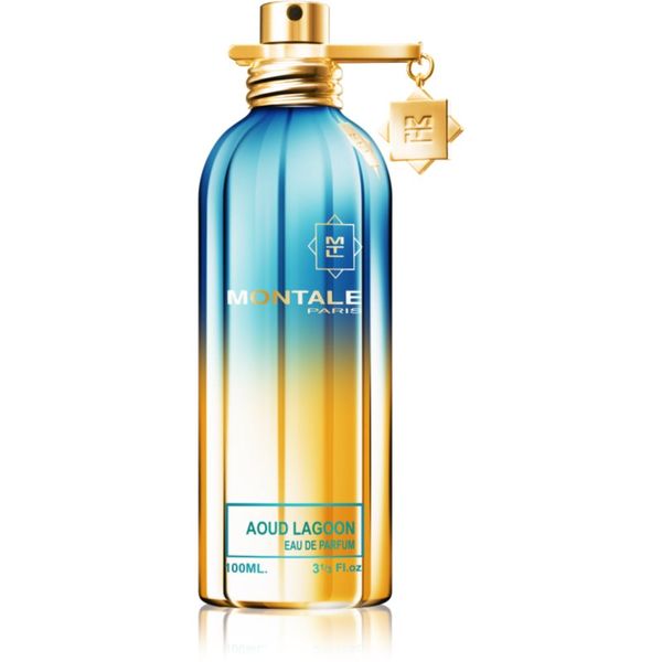 Montale Montale Aoud Lagoon parfemska voda uniseks 100 ml