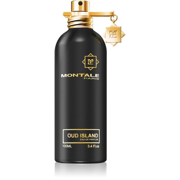 Montale Montale Oud Island parfemska voda uniseks 100 ml