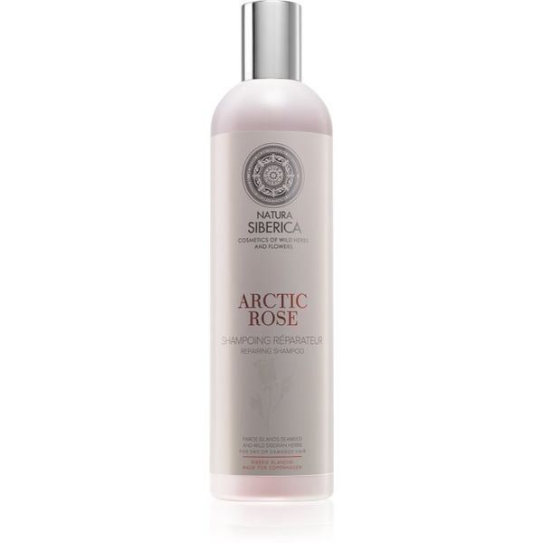 Natura Siberica Natura Siberica Copenhagen Arctic Rose regenerirajući šampon za suhu i oštećenu kosu 400 ml