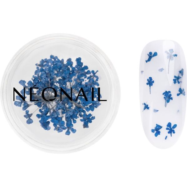 NeoNail NEONAIL Dried Flowers osušeni cvijet za nokte nijansa 04 Navy 1 kom