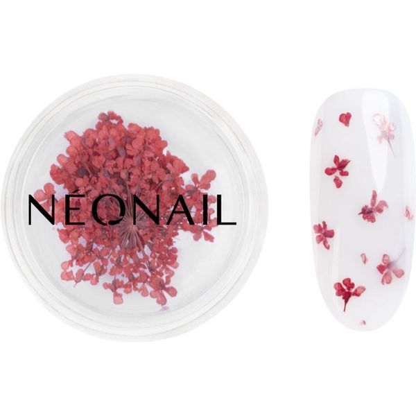 NeoNail NEONAIL Dried Flowers osušeni cvijet za nokte nijansa 08 Red 1 kom