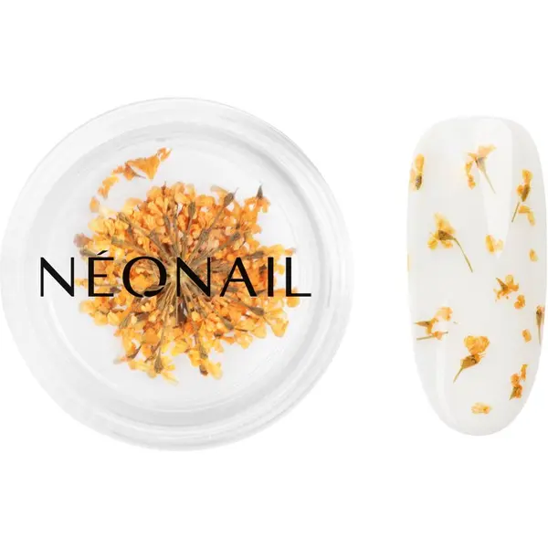 NeoNail NEONAIL Dried Flowers osušeni cvijet za nokte nijansa Orange 1 kom