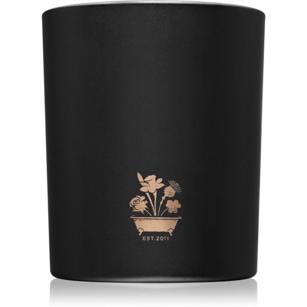 Noble Isle Noble Isle Willow Song mirisna svijeća 200 g