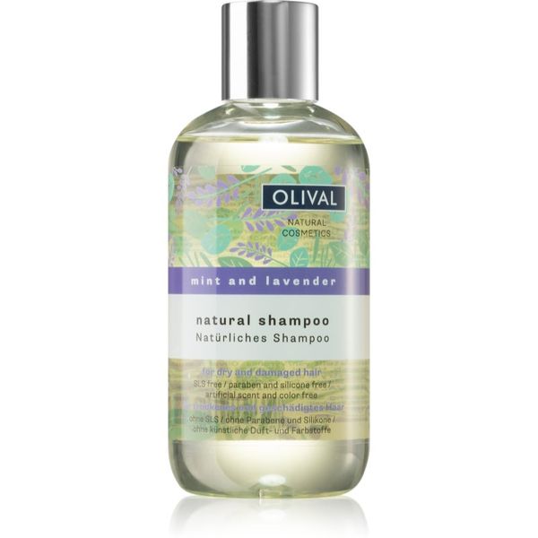 Olival Olival Natural Mint and Lavender prirodni šampon za suhu i oštećenu kosu 250 ml