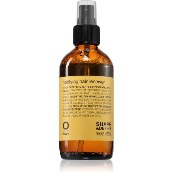 Oway Oway Styling & Finish sredstvo za stiliziranje za jačanje kose 160 ml