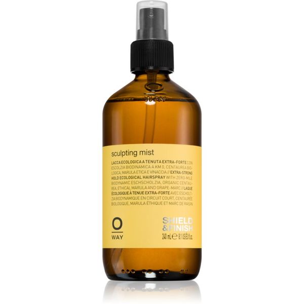 Oway Oway Styling & Finishing sprej za stiliziranje s dodatno pojačanim učvršćivanjem 240 ml