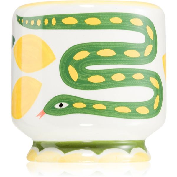 Paddywax Paddywax A Dopo Snake mirisna svijeća 226 g