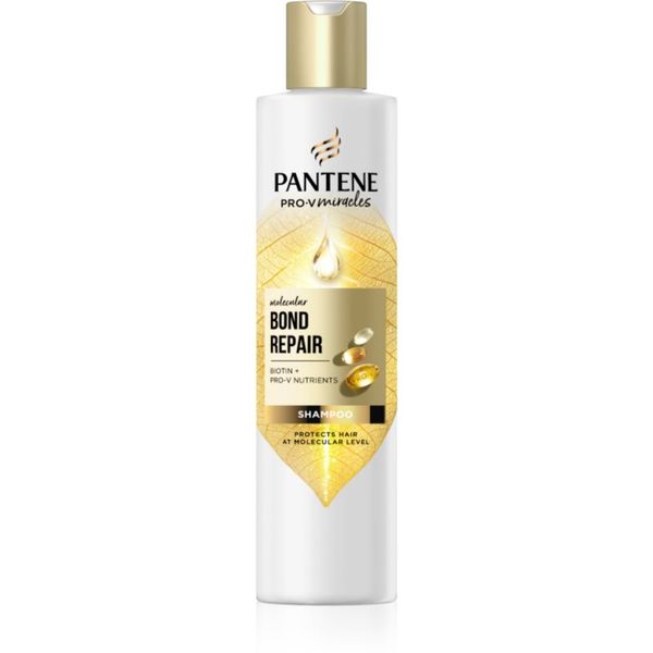 Pantene Pantene Pro-V Bond Repair šampon za jačanje oštećene kose s biotinom 250 ml