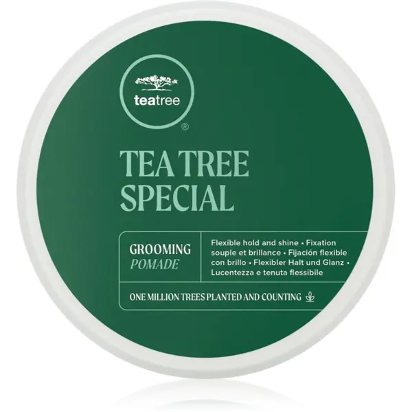 Paul Mitchell Paul Mitchell Tea Tree Special Grooming Pomade pomada za kosu za definiciju i oblik 85 g