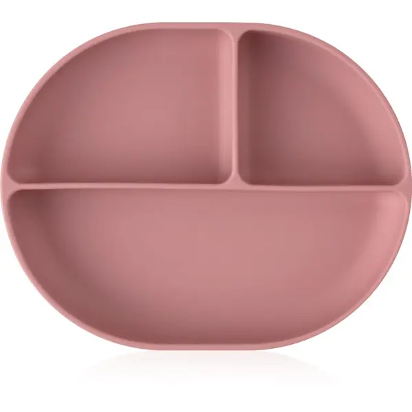 Petite&Mars Petite&Mars Take&Match 6m+ tanjur s pregradama s vakuumskim držačem Dusty Rose 1 kom