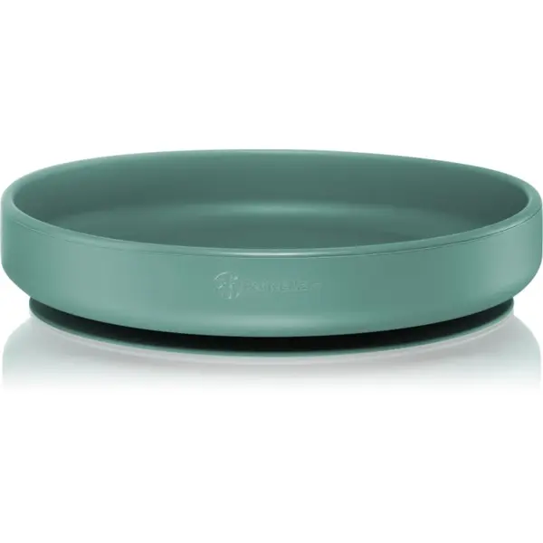 Petite&Mars Petite&Mars Take&Match Silicone Plate tanjur s vakuumskim držačem Misty Green 6 m+ 1 kom