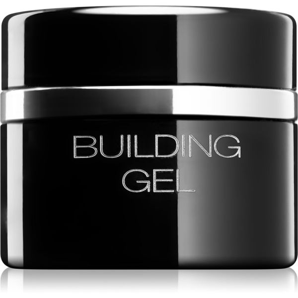 Pierre René Pierre René Nails Hybrid gel za modeliranje za nokte 10 ml