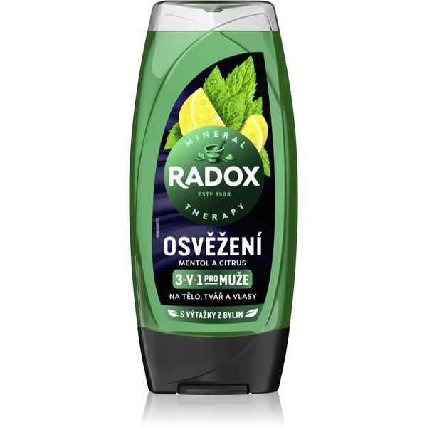 Radox Radox Men Feel Strong gel za tuširanje i šampon 2 u 1 Mint & Tea Tree 225 ml