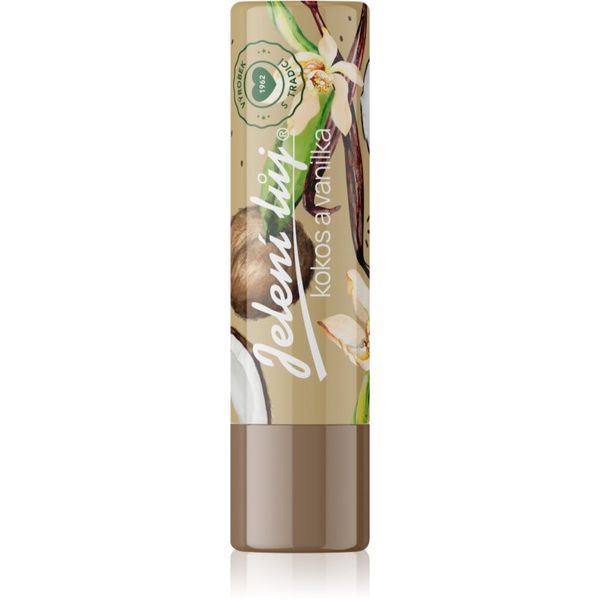 Regina Regina Coconut & Vanilla balzam za usne 4,5 g