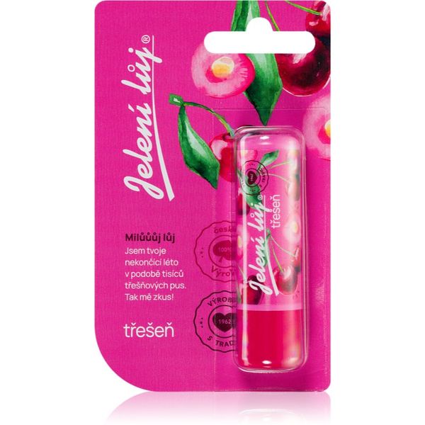 Regina Regina Juicy Summer Cherry balzam za usne 4,5 g