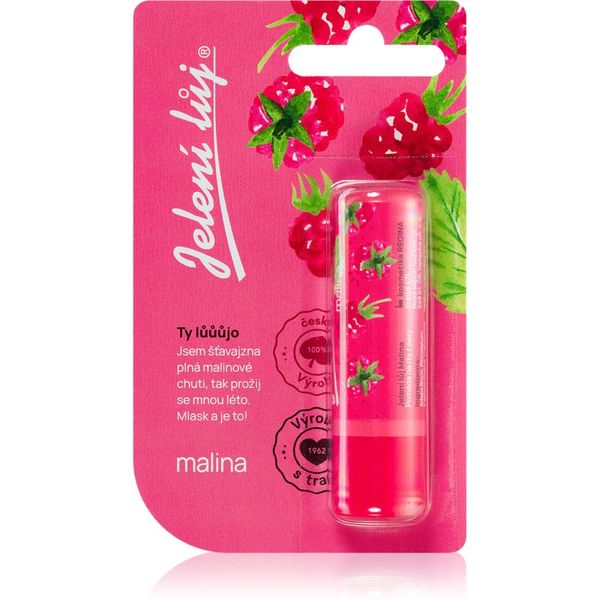 Regina Regina Juicy Summer Raspberry balzam za usne 4,5 g