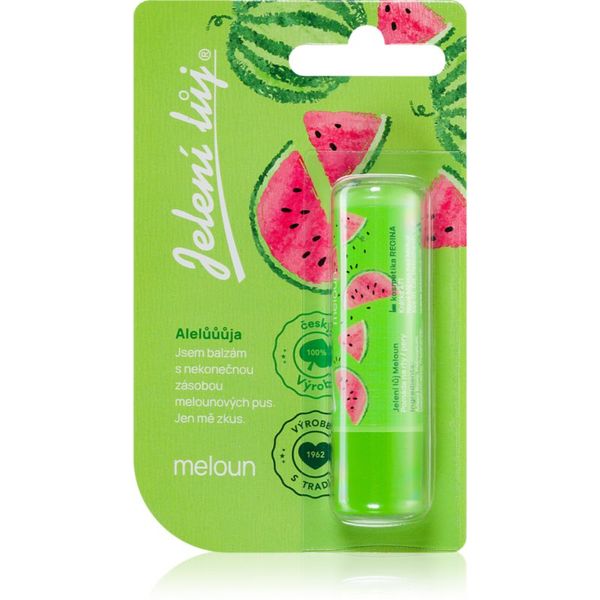 Regina Regina Juicy Summer Watermelon balzam za usne 4,5 g