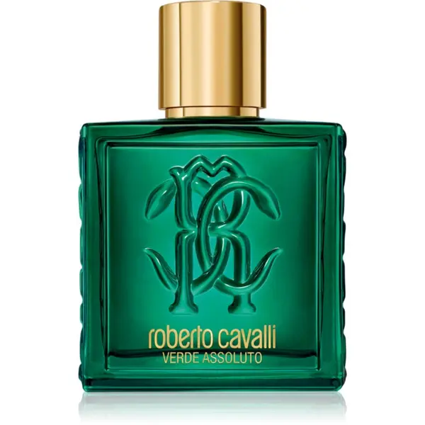 Roberto Cavalli Roberto Cavalli Uomo Verde Assoluto parfemska voda za muškarce 100 ml