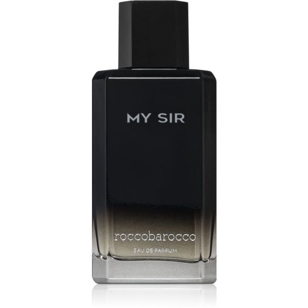 Roccobarocco Roccobarocco My Sir parfemska voda za muškarce 100 ml