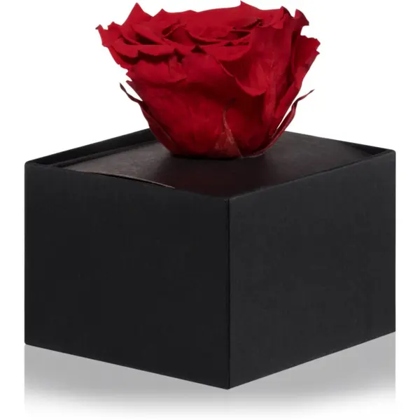 RoseAmor RoseAmor Red stabilizirana ruža u kutiji 1 kom