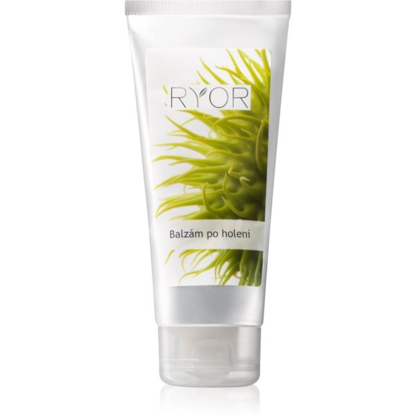 RYOR RYOR Depilation and Shaving balzam poslije brijanja za muškarce 100 ml