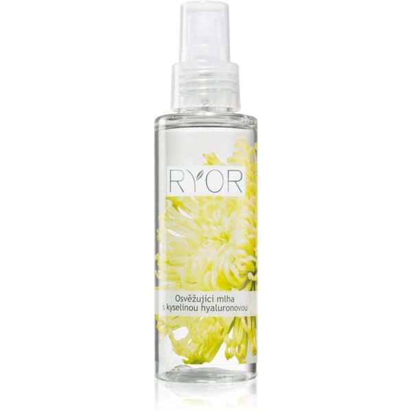 RYOR RYOR Face & Body Care osvježavajuća magla s hijaluronskom kiselinom 100 ml