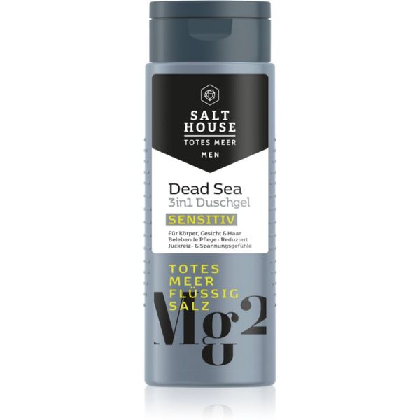 Salt House Salt House Dead Sea Men gel za tuširanje za muškarce 3 u 1 250 ml