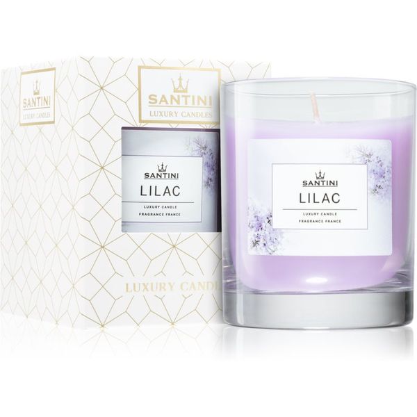 SANTINI Cosmetic SANTINI Cosmetic Lilac mirisna svijeća 200 g