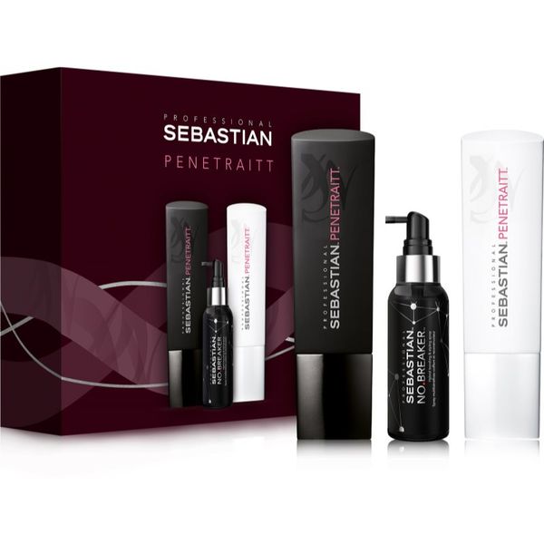 Sebastian Professional Sebastian Professional Penetraitt poklon set (za oštećenu, kemijski tretiranu kosu)