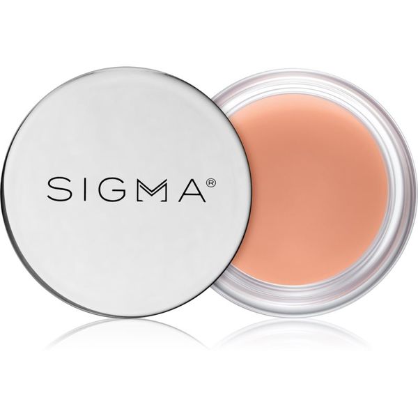 Sigma Beauty Sigma Beauty Hydro Melt Lip Mask hidratantna maska za usne s hijaluronskom kiselinom nijansa Hush 9,6 g