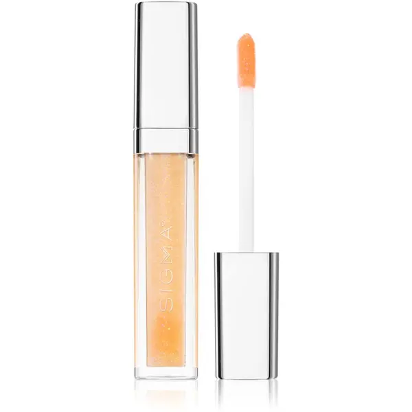 Sigma Beauty Sigma Beauty Lip Care Hydrating Lip Gloss hidratantno sjajilo za usne 4 g