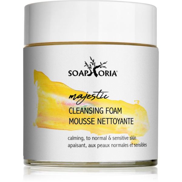 Soaphoria Soaphoria Care hidratantna i umirujuća pjena za čišćenje za osjetljivu kožu lica 100 ml