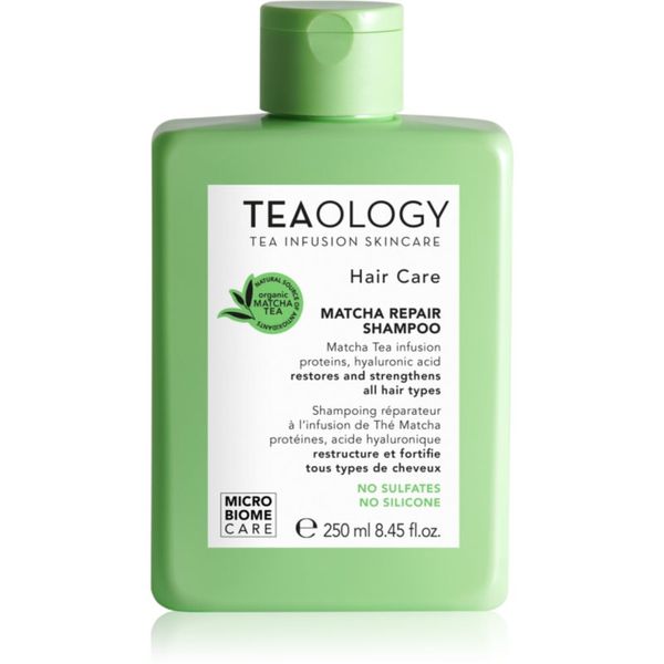 Teaology Teaology Hair Matcha Repair Shampoo šampon za jačanje kose 250 ml