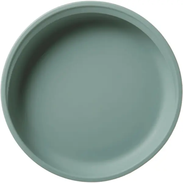 Tommee Tippee Tommee Tippee EasiStick™ Silicone Weaning Plate tanjur s vakuumskim držačem 4m+ Green 1 kom