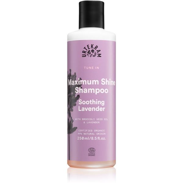 Urtekram Urtekram Soothing Lavender umirujući šampon za sjajnu i mekanu kosu 250 ml