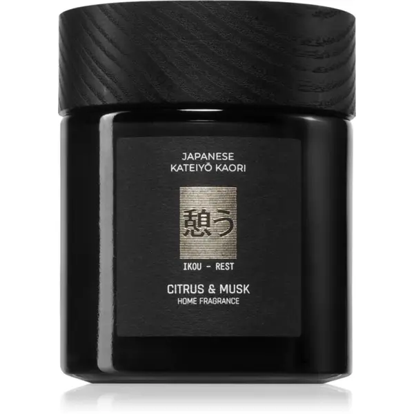Vila Hermanos Vila Hermanos Apothecary Japanese Rest mirisna svijeća 150 g