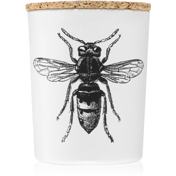 Vila Hermanos Vila Hermanos Insect Calabrone mirisna svijeća 75 g