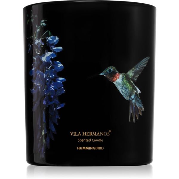 Vila Hermanos Vila Hermanos Jungletopia Hummingbird mirisna svijeća 200 g