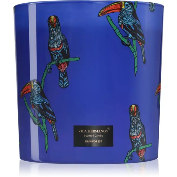 Vila Hermanos Vila Hermanos Jungletopia Rain Forest mirisna svijeća 1450 g