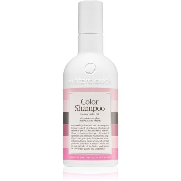 Waterclouds Waterclouds Color Shampoo šampon za zaštitu boje 250 ml