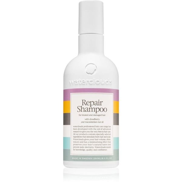 Waterclouds Waterclouds Repair Shampoo nježan njegujući šampon 250 ml